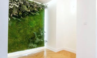 Marais pop up showroom - Image 2