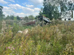 Décor/Lieu de tournage: Prairie - Image 1