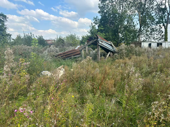 Décor/Lieu de tournage: Prairie - Image 1