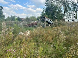 D�cor/Lieu de tournage: Prairie - Image 1