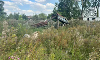 Décor/Lieu de tournage: Prairie - Image 1