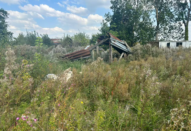 Décor/Lieu de tournage: Prairie - Image 1
