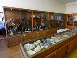 Batiment Institutionnel - Image 15