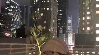 Beautiful Midtown Manhattan Terrace - Image 8