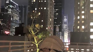 Beautiful Midtown Manhattan Terrace - Image 8