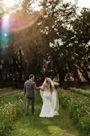 Stunning Flower Fields with Florida Wildflowers - Image 9