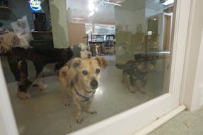 Furnished Office for 10+ - Image 6