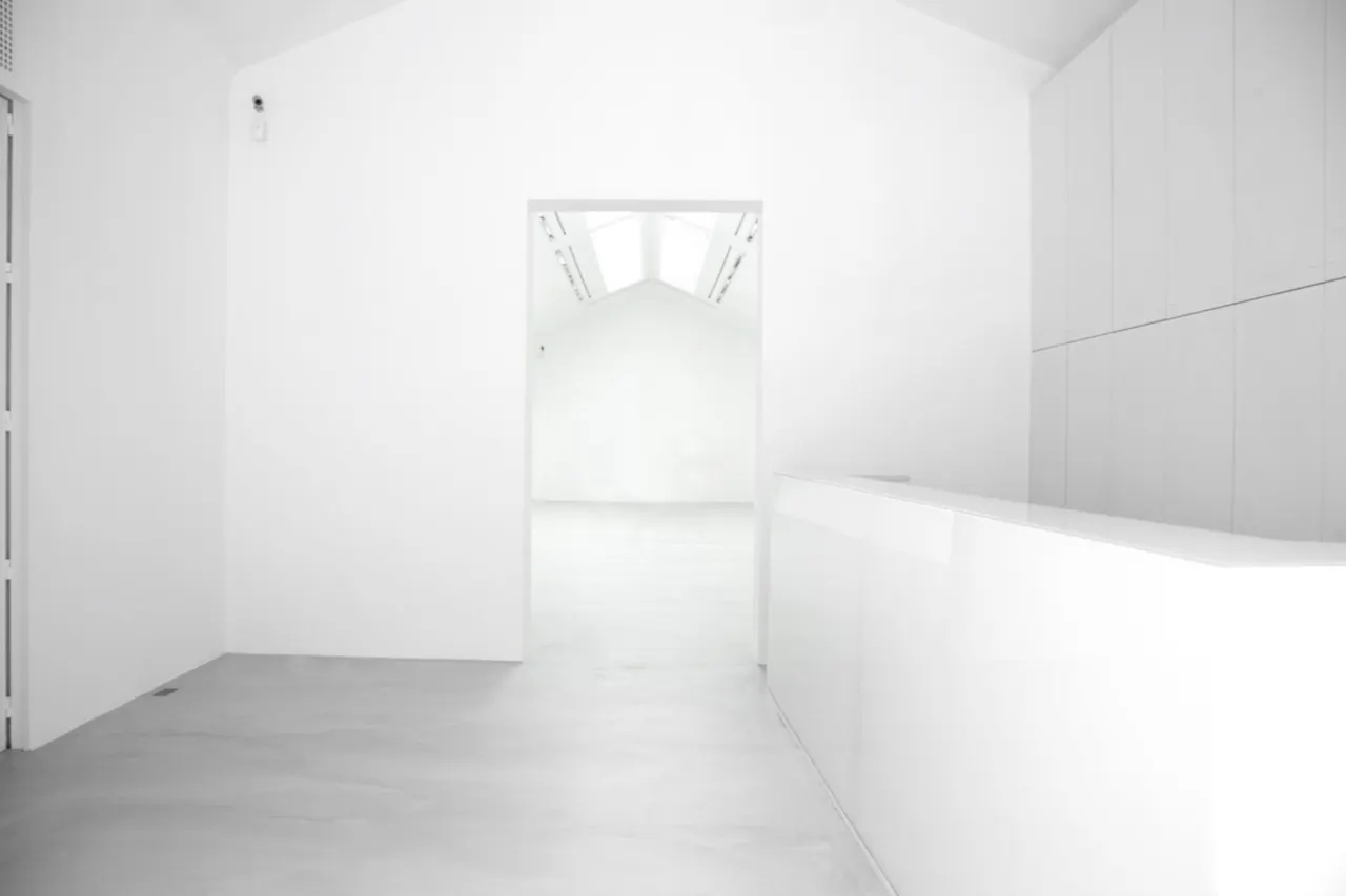 Sublime Space in Vibrant Le Marais - Image 1