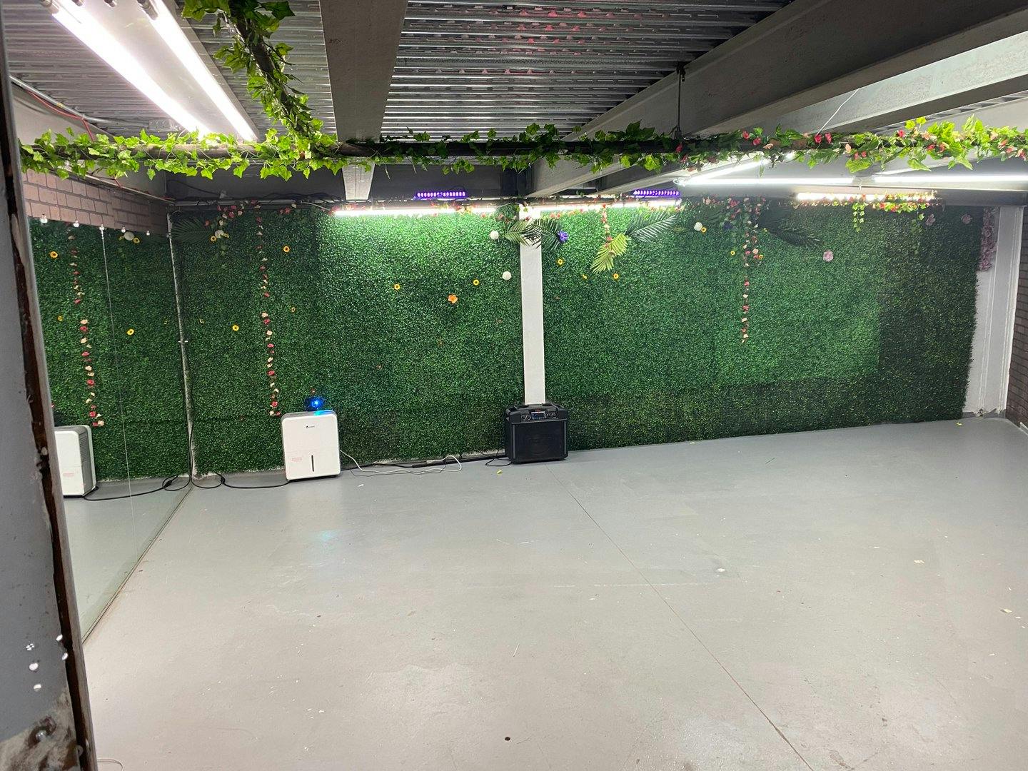 Vine Cellar Event and Meeting Space in The Bronx