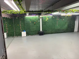 vine cellar - Image 0