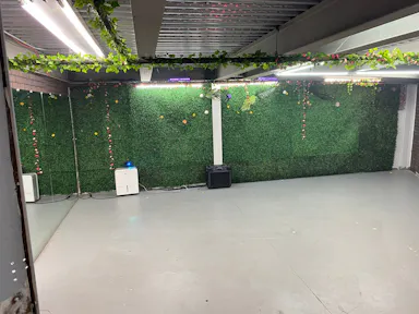 vine cellar - Image 0