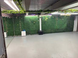 vine cellar - Image 0