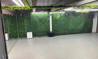 vine cellar - Image 0