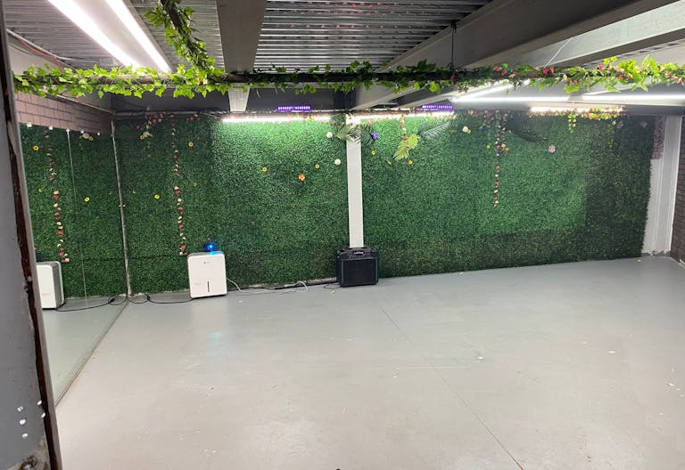 vine cellar - Image 0