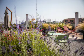 500 square meters rooftop space for events  - Image 8