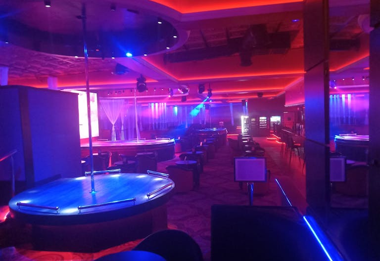 Chic Exotic Lounge - Image 0