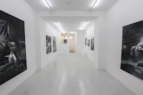Graphic Gallery in Le Marais - Image 3