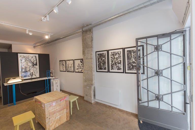 Beautiful Étienne Marcel Gallery - Image 3