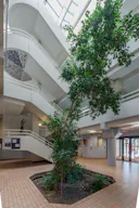 Batiment Institutionnel - Image 6