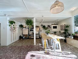 Art Gallery + Plant Store in Outer Richmond District of San Francisco - Image 2