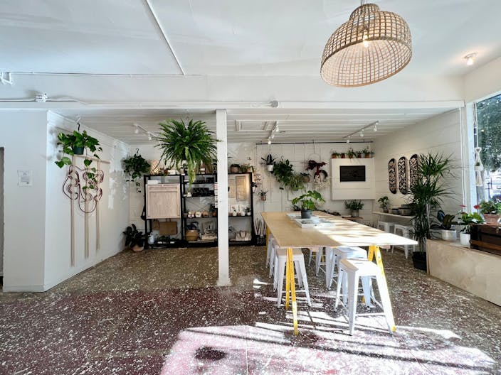 Art Gallery + Plant Store in Outer Richmond District of San Francisco - Image 2