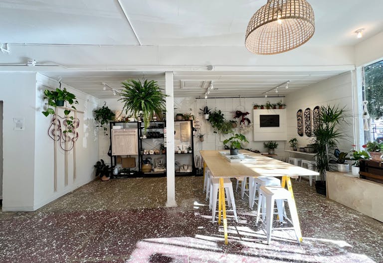 Art Gallery + Plant Store in Outer Richmond District of San Francisco - Image 2