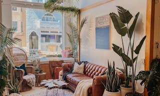 Plant-filled Community Space in the Marina District - Image 0