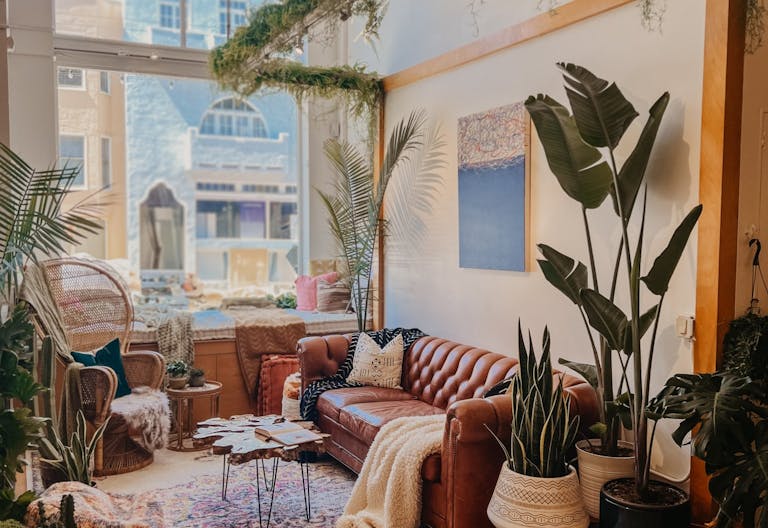 Plant-filled Community Space in the Marina District - Image 0