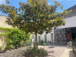 Bureau privatif et acc�s aux communs dans un immeuble d'architecte, au coeur des Chartrons � Bordeaux - 17M2 - Image 11