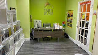 Music Academy Located in North Dallas - Image 8