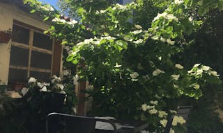 Bureau 10M2 en plein coeur des Chartrons, avec acc�s cuisine et jardin - Image 6