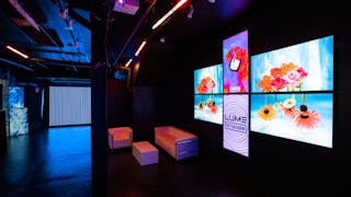 LUME Studios - Image 12