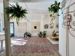 Art Gallery + Plant Store in Outer Richmond District of San Francisco - Image 1