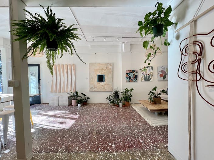 Art Gallery + Plant Store in Outer Richmond District of San Francisco - Image 1