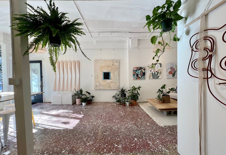 Art Gallery + Plant Store in Outer Richmond District of San Francisco - Image 1