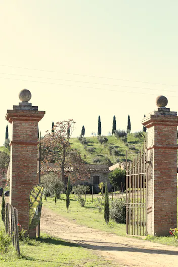 Rustic Sicilian olive farm & historic barn venue - Image 0
