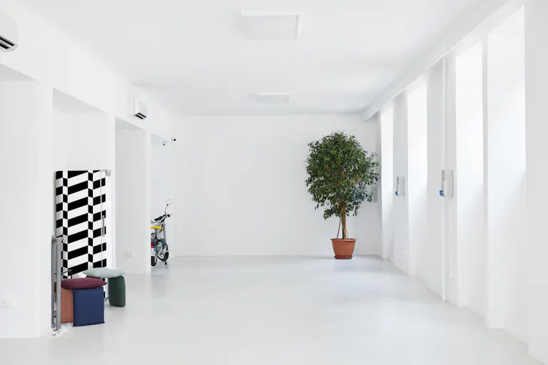 Amazing 300m2 for Showrooms and Events - Image 2