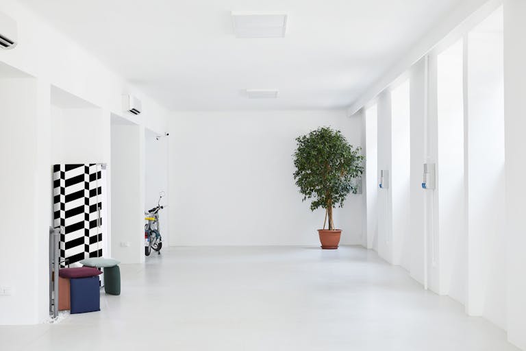 Amazing 300m2 for Showrooms and Events - Image 2