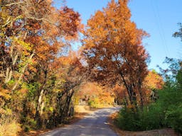 Woodys Banquet Barn (Venue) - Image 7