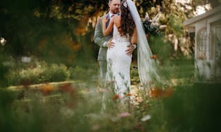 Stunning Flower Fields with Florida Wildflowers - Image 6