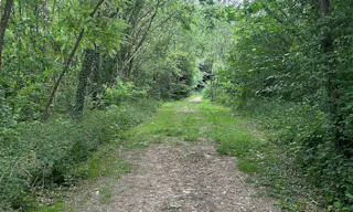 Décor/Lieu de tournage: Forêt Privée - Image 10