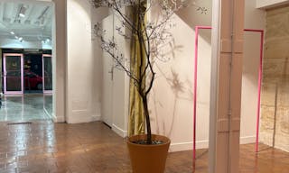 POP-UP BOUTIQUE & SHOWROOM AU COEUR DU MARAIS - Image 9