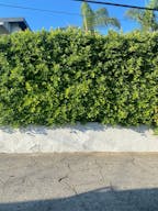 Basic Creative Space - Image 10