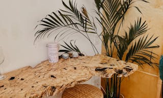 Plant-filled Community Space in the Marina District - Image 11