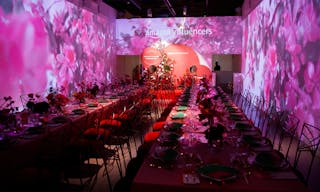 LUME Studios - Image 20