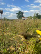 Décor/Lieu de tournage: Prairie - Image 5