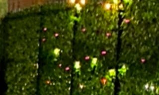 Outdoor Event Space - Image 5