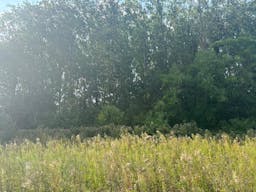 D�cor/Lieu de tournage: Prairie - Image 9