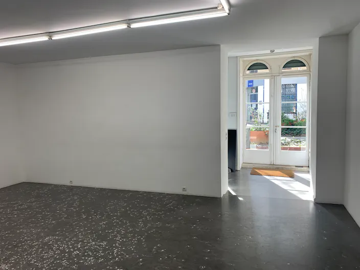 Espace au coeur du Haut-Marais - Image 2