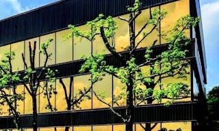 Luxury Office Space On Top Floor ! - Image 5